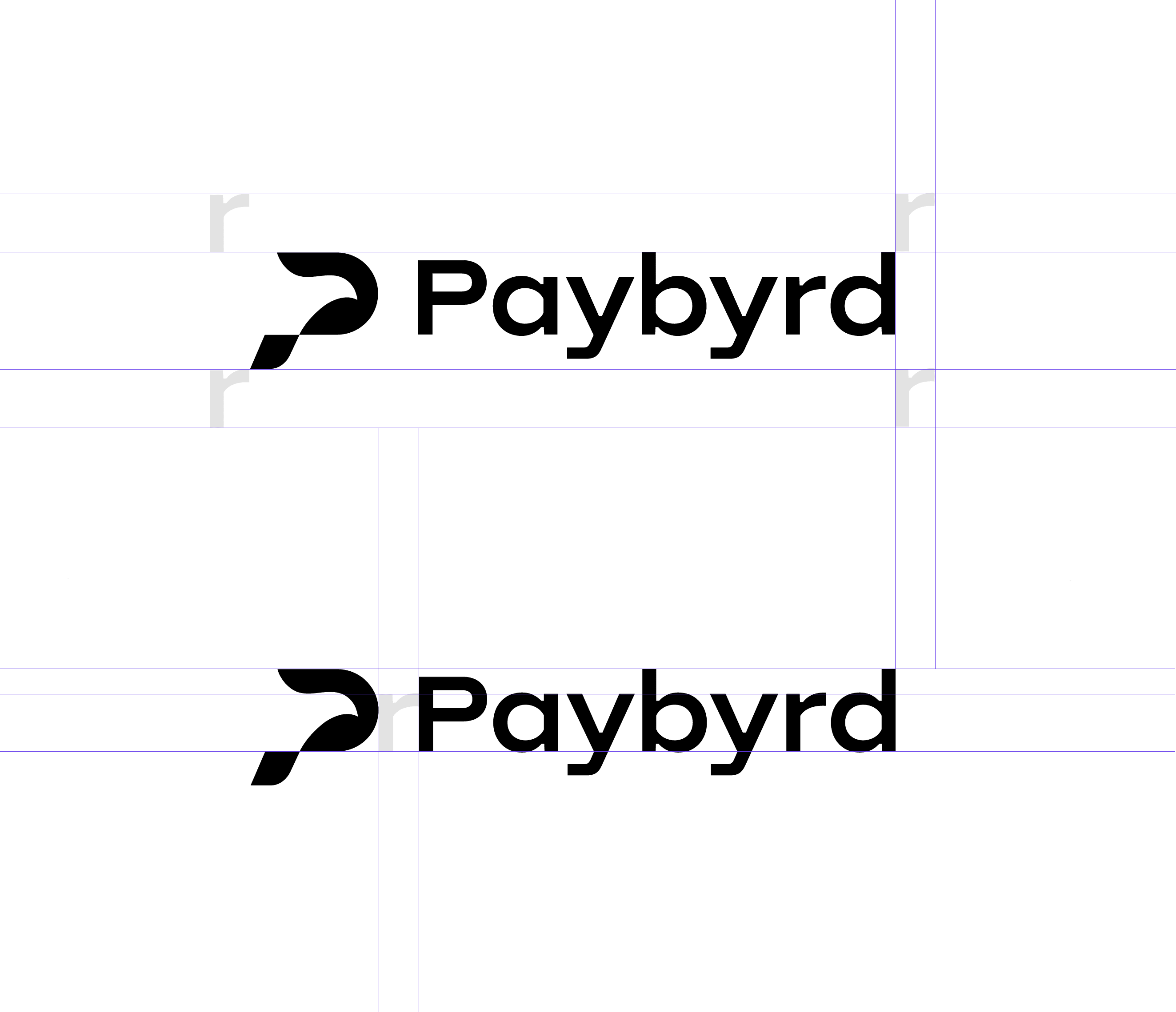 Paybyrd brand on black