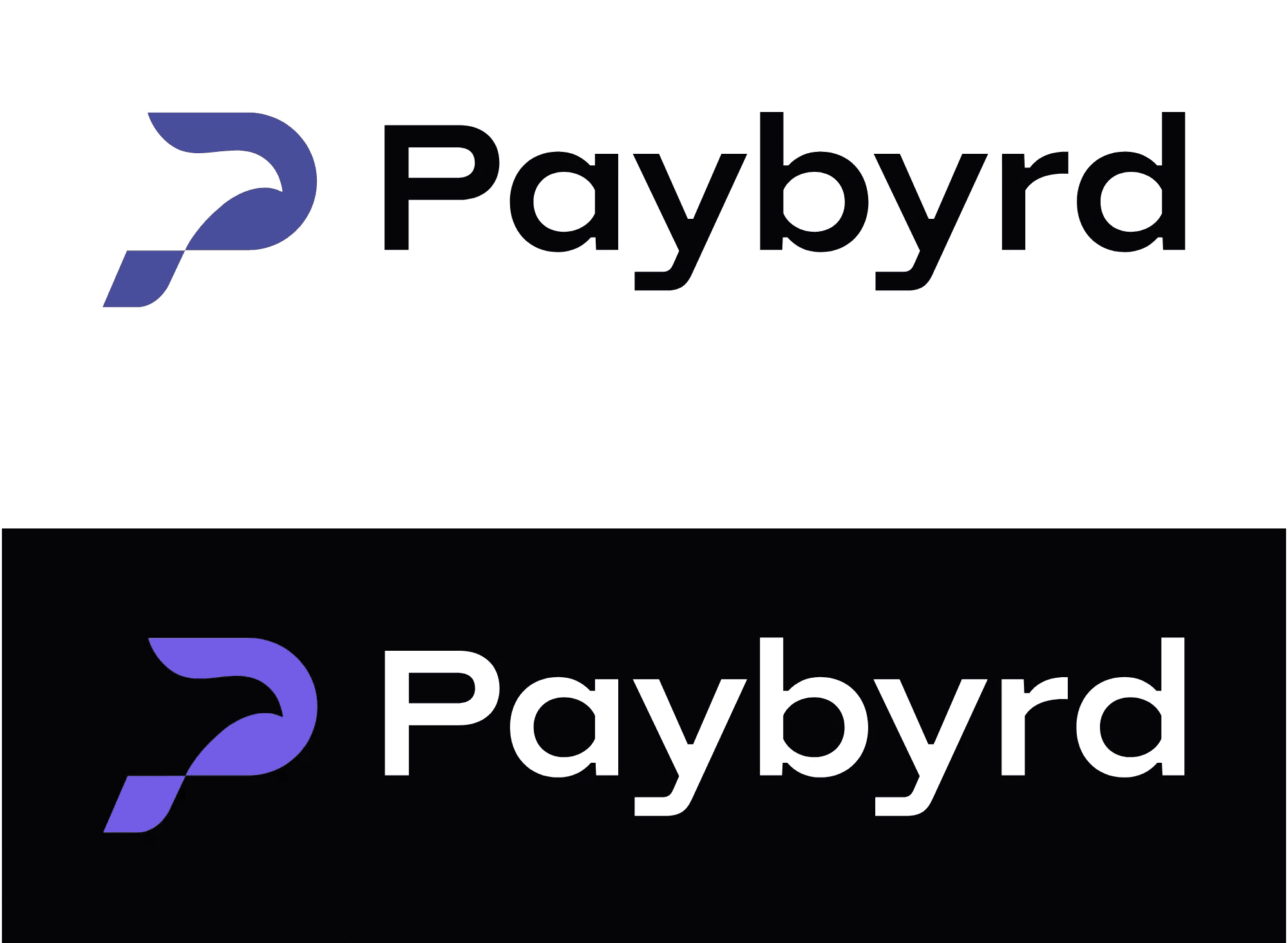 Paybyrd logo on dark and light backgrounds