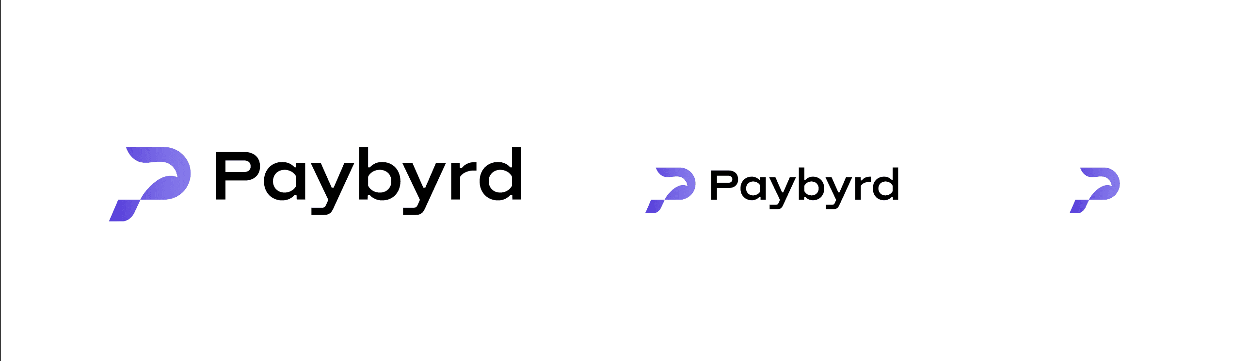 Paybyrd logo size guidelines