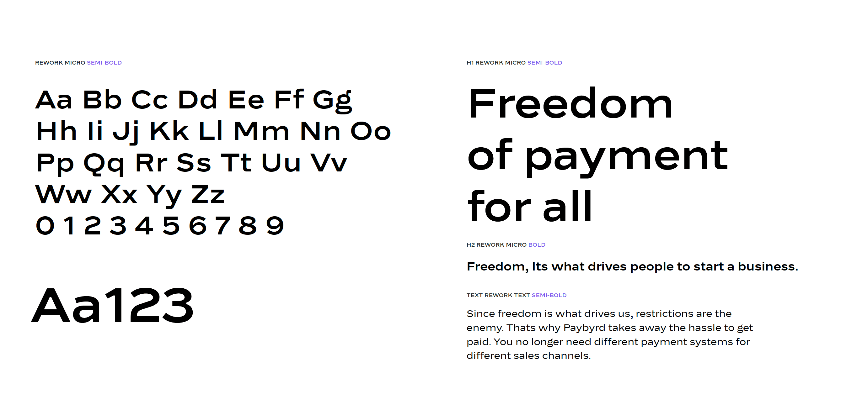 Paybyrd typography system