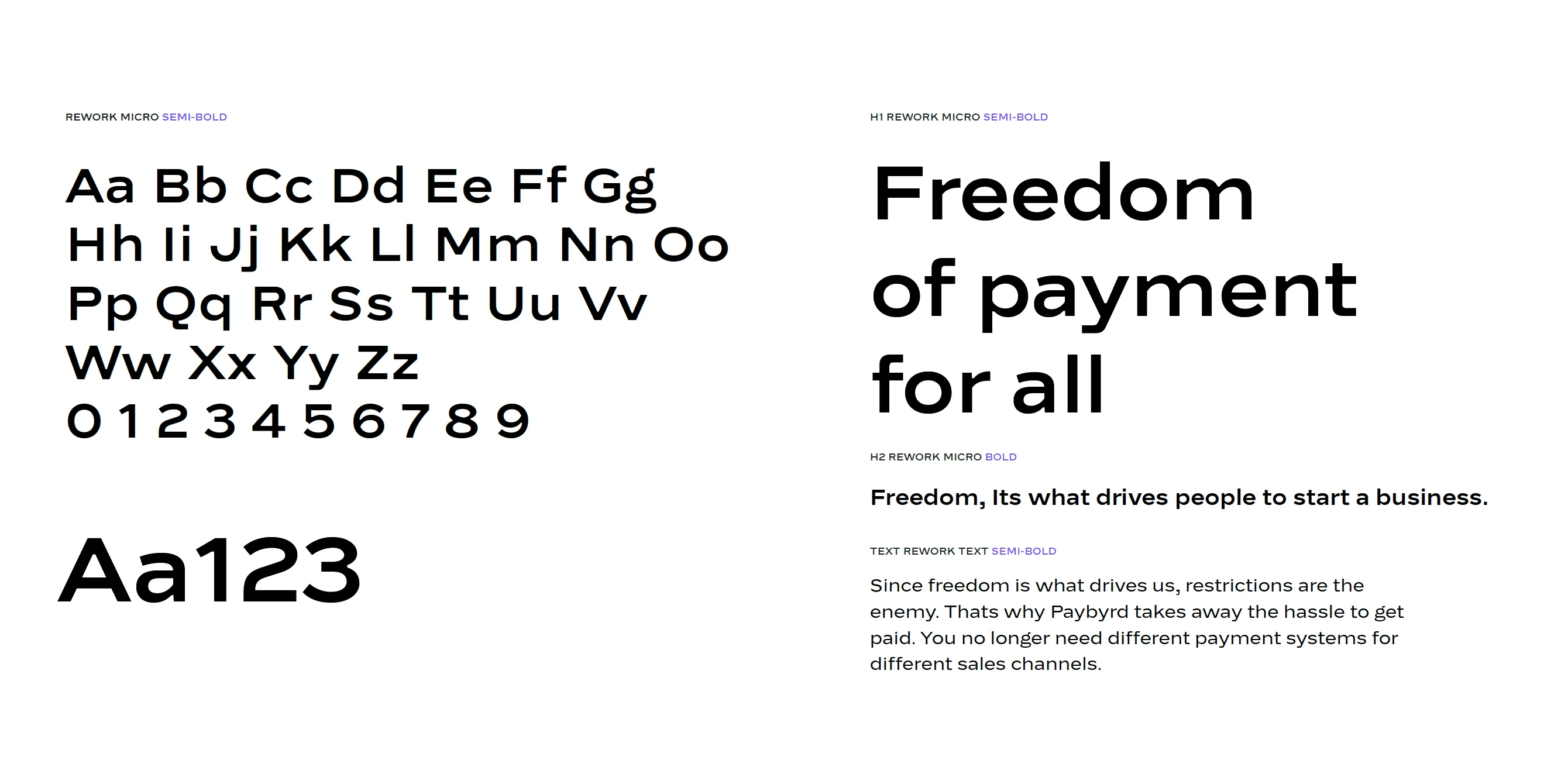 Paybyrd typography system
